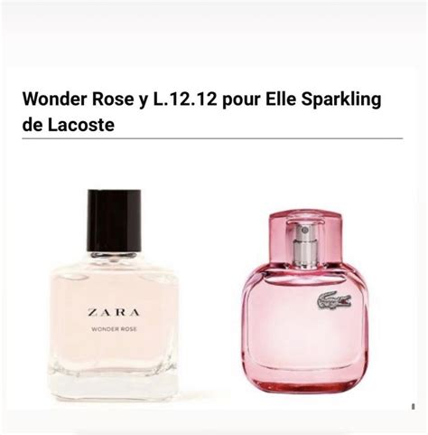 zara c'est la rose dupe